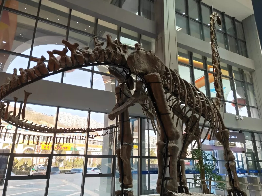 1546389296602014.png image.png