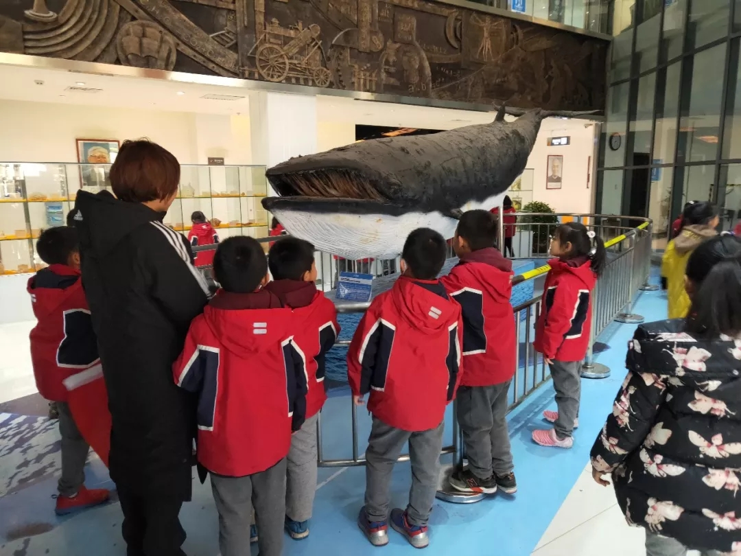 1546389310117102.png image.png