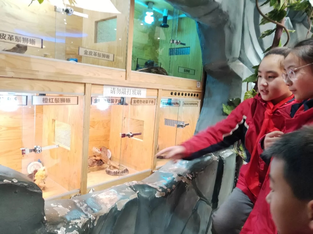 1546389324683861.png image.png