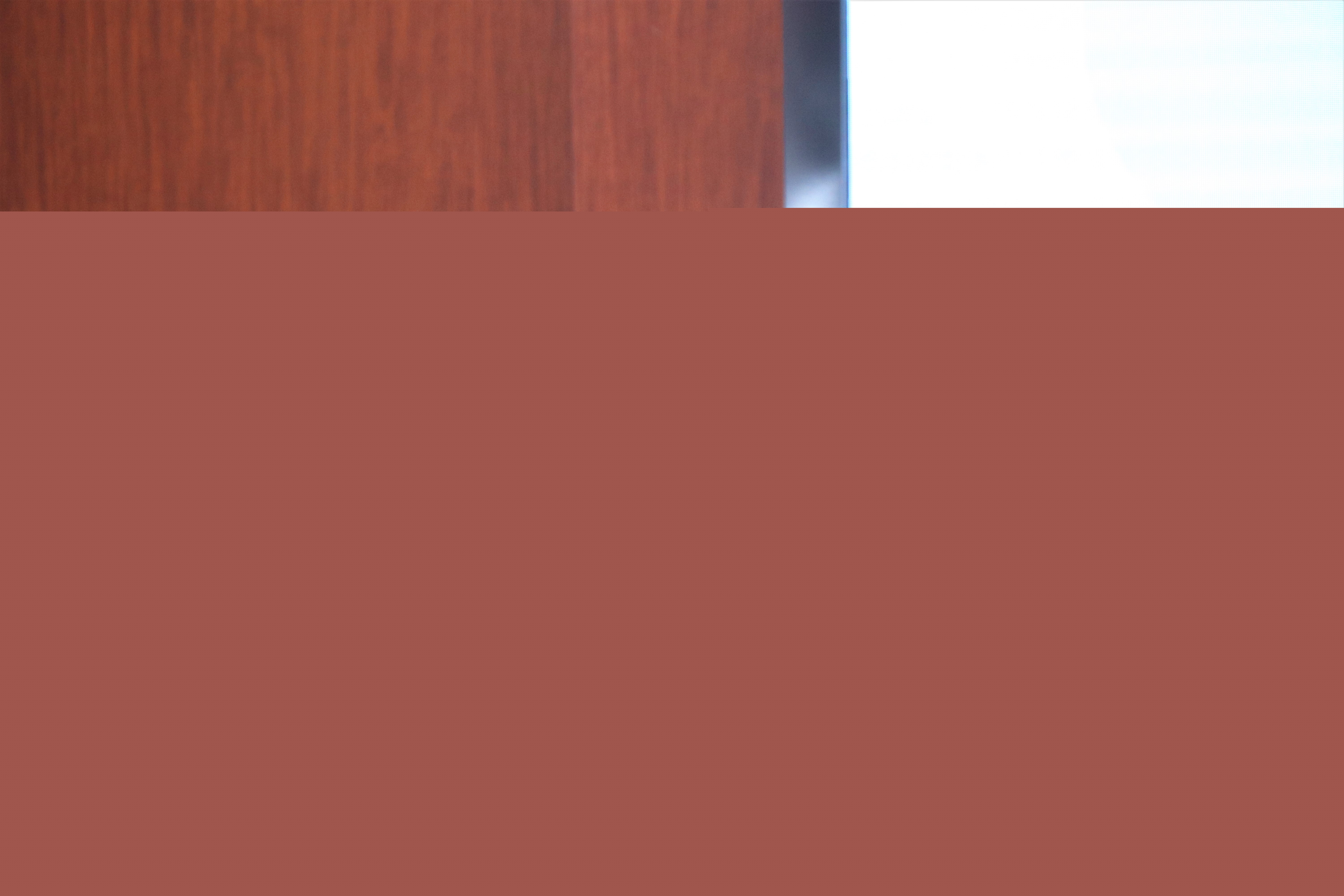 1616404747424488.jpg