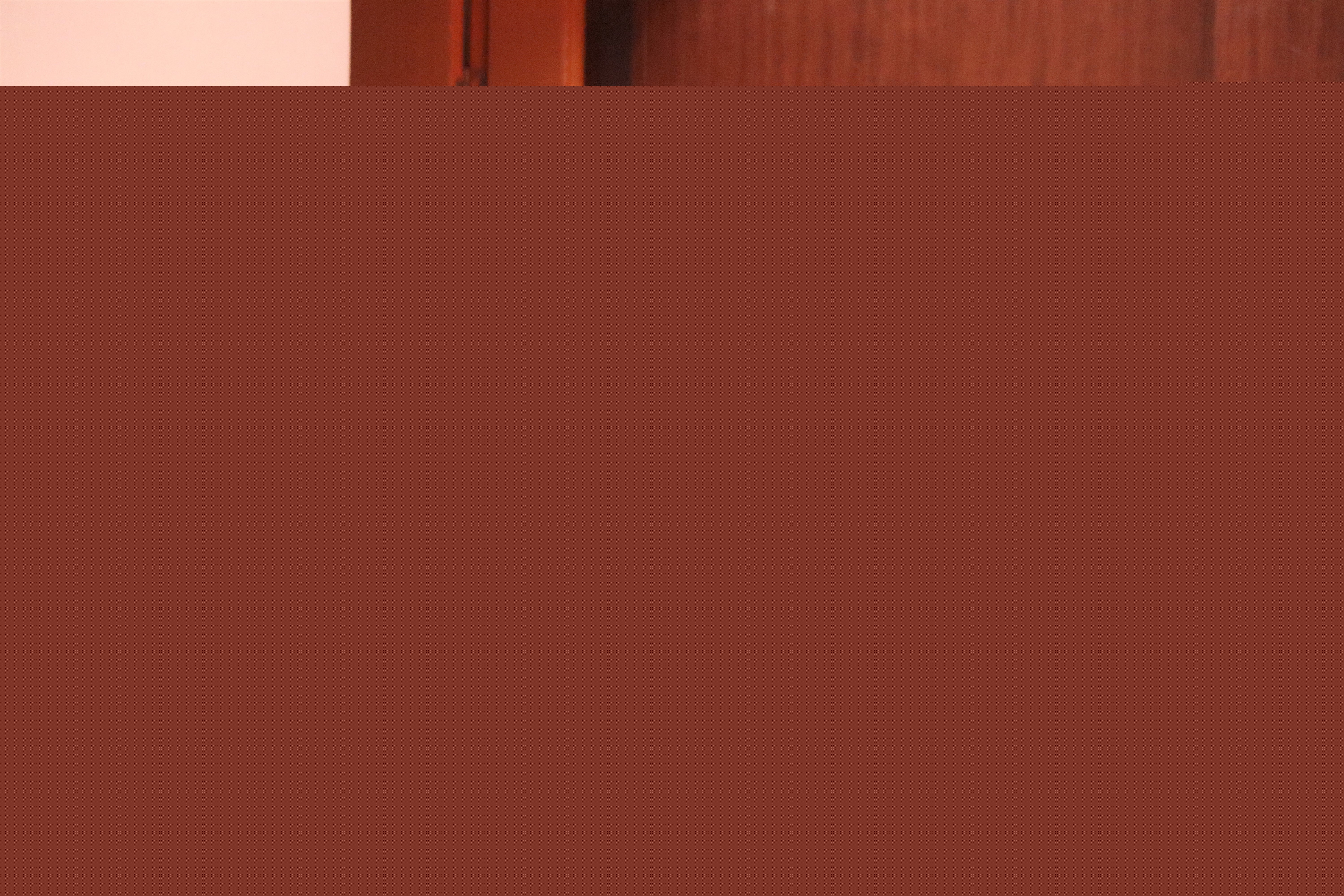 1621903707255810.jpg
