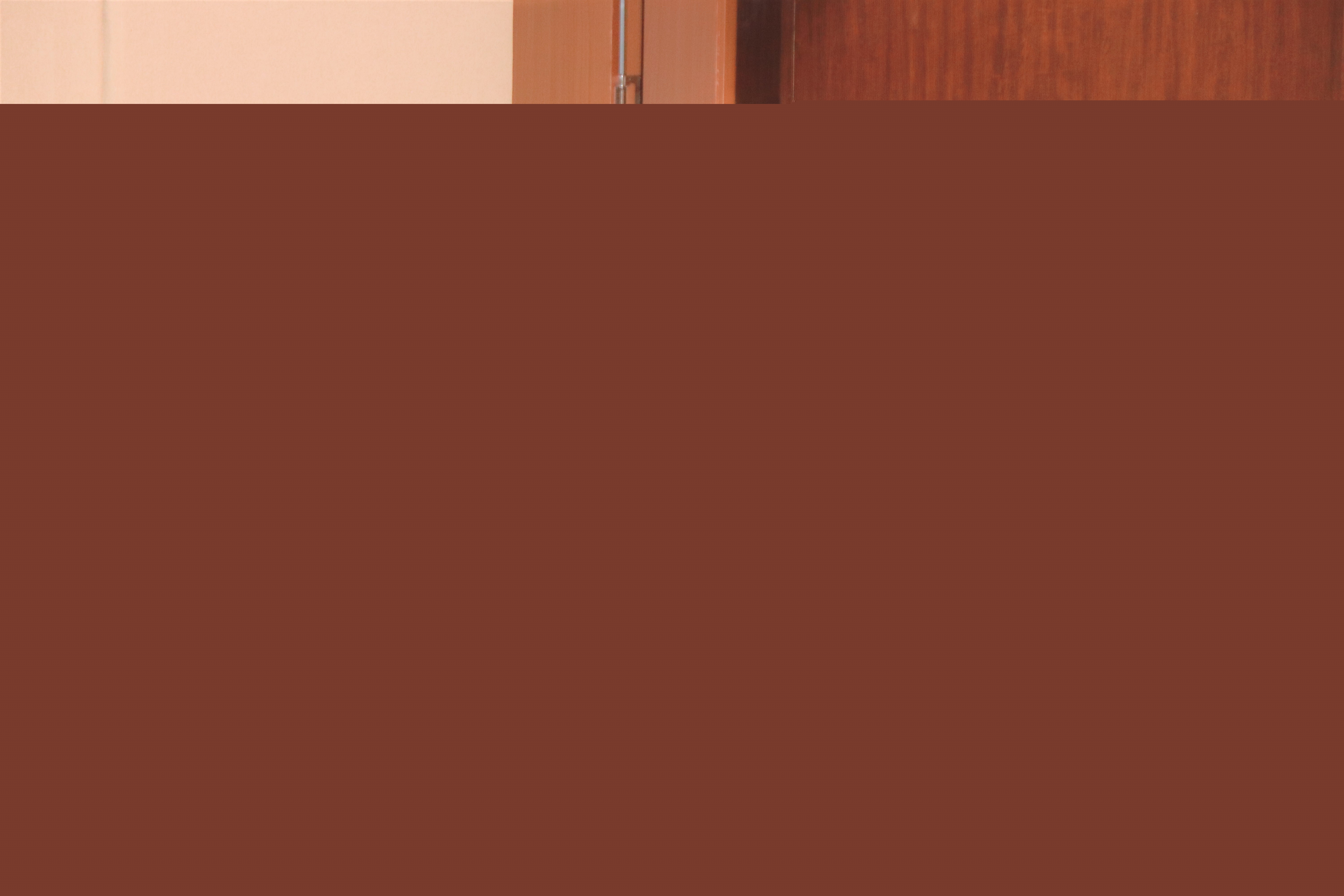 1637280744309818.jpg